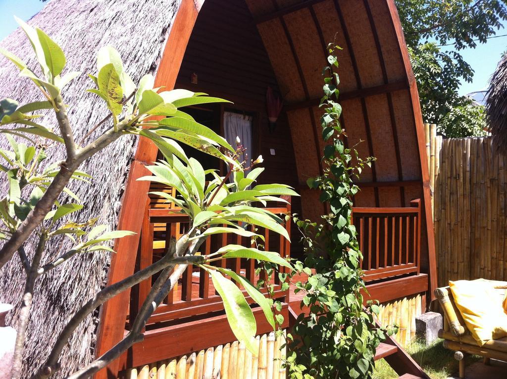 Rumah Cahaya Gili Trawangan Rom bilde