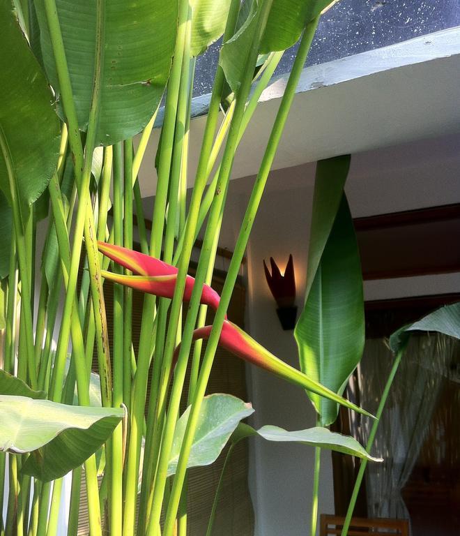 Rumah Cahaya Gili Trawangan Rom bilde